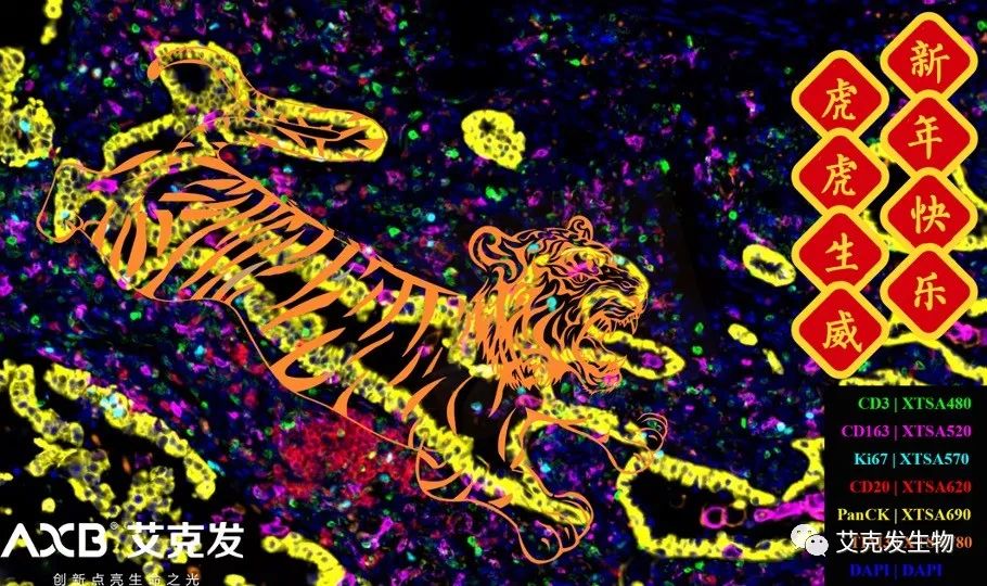 「如虎添翼」新的一年，艾克发生物愿与您携手共进